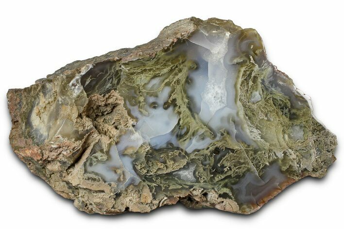 Moss Agate Replaced Wood Cast - Oregon #373529